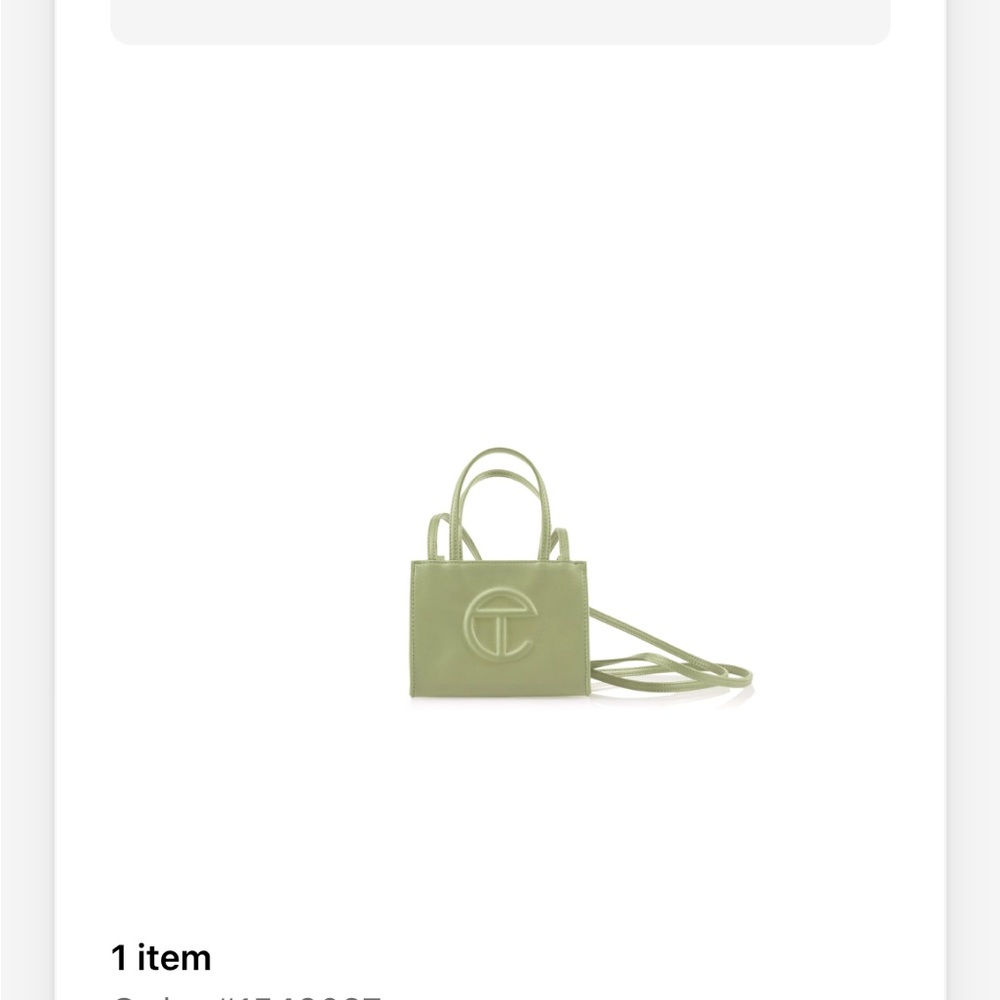 Telfar Sage Mini Bag